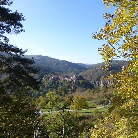Gite En Pierre Avec Terrasses, Proche De Sites Medievaux, Ideal Pour Famille Avec Equipements Bebe. - Fr-1-582-256 Boisset  Dış mekan fotoğraf