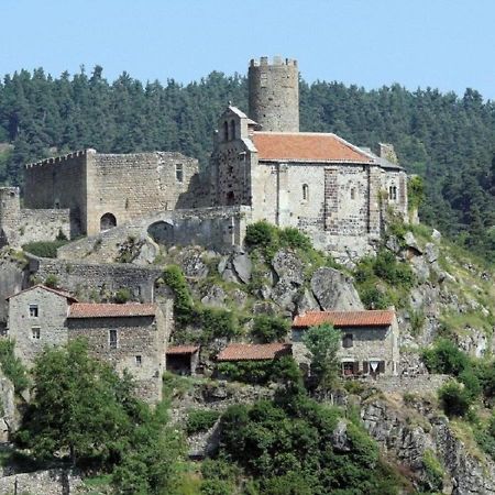 Gite En Pierre Avec Terrasses, Proche De Sites Medievaux, Ideal Pour Famille Avec Equipements Bebe. - Fr-1-582-256 Boisset  Dış mekan fotoğraf