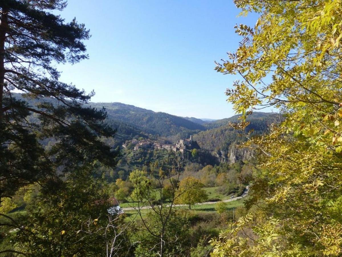 Gite En Pierre Avec Terrasses, Proche De Sites Medievaux, Ideal Pour Famille Avec Equipements Bebe. - Fr-1-582-256 Boisset  Dış mekan fotoğraf