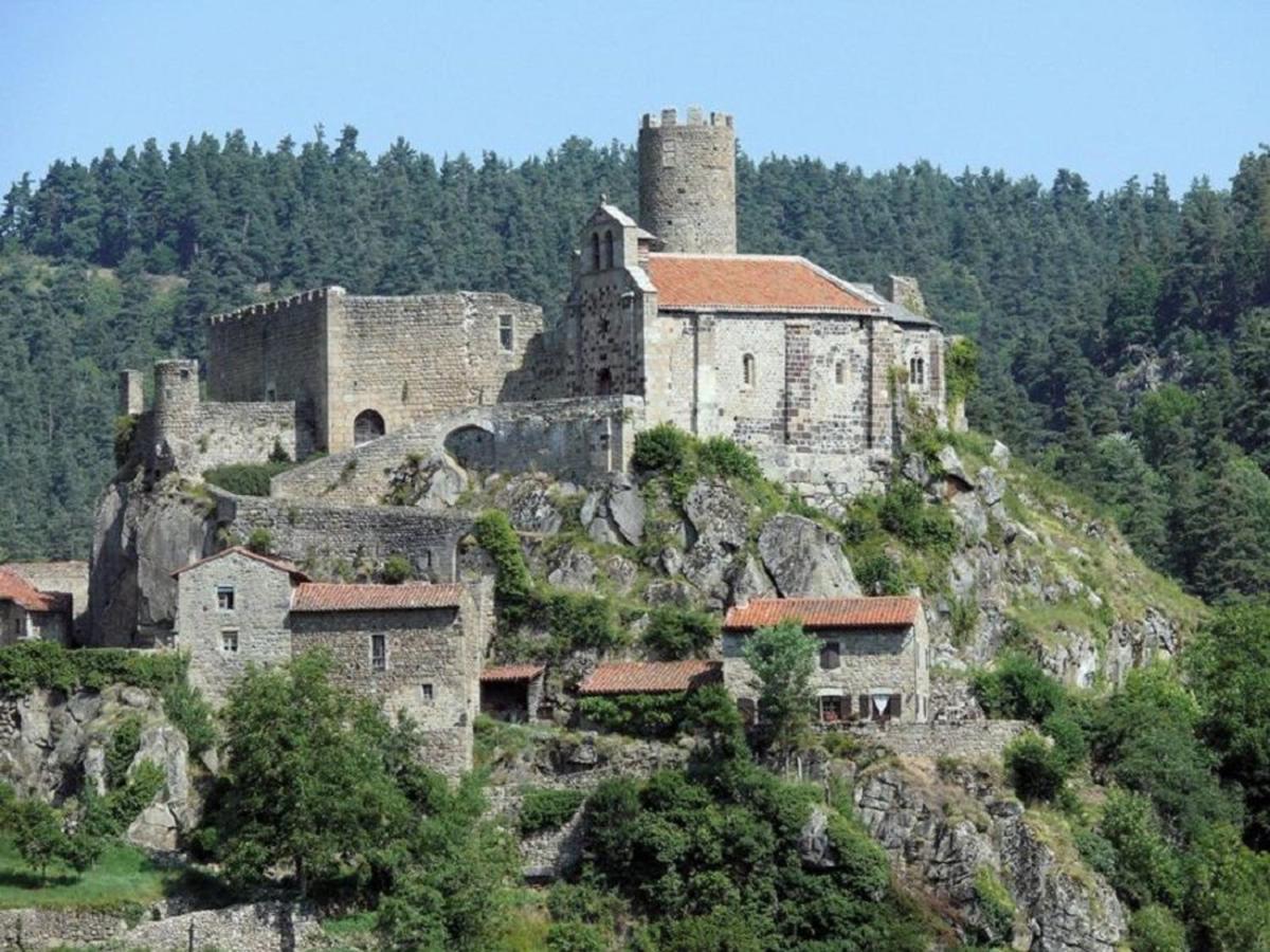 Gite En Pierre Avec Terrasses, Proche De Sites Medievaux, Ideal Pour Famille Avec Equipements Bebe. - Fr-1-582-256 Boisset  Dış mekan fotoğraf